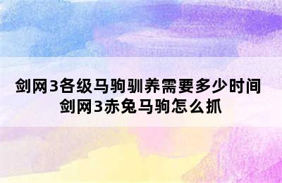 剑网3各级马驹驯养需要多少时间 剑网3赤兔马驹怎么抓